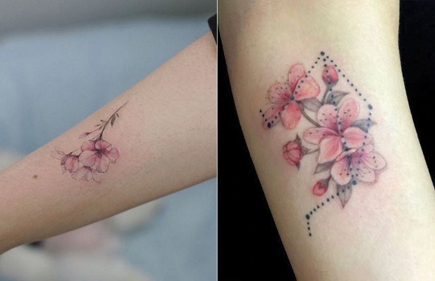 250 Japanese Cherry Blossom Tattoo Designs With Meanings Symbolism 21