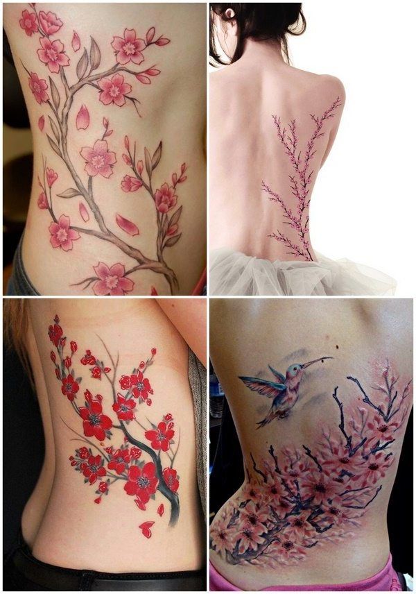 250+ Japanese Cherry Blossom Tattoo Designs With Meanings & Symbolism