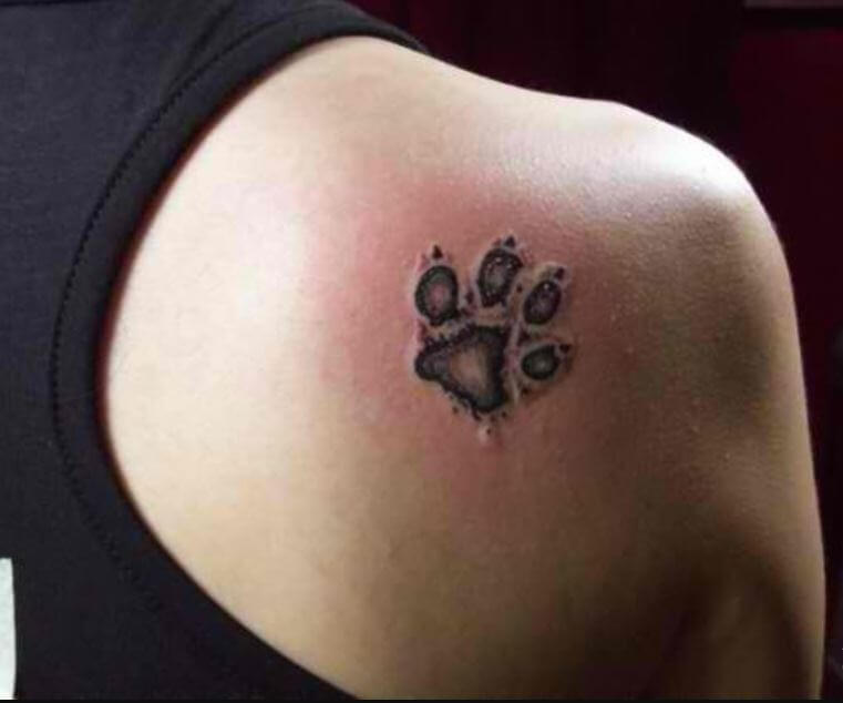 50 Animal Paw Print Tattoos Designs Ideas 2020