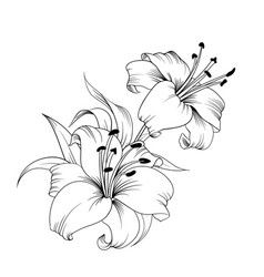 Lily Shoulder Tattoos Meaning Ideas Designs (106)