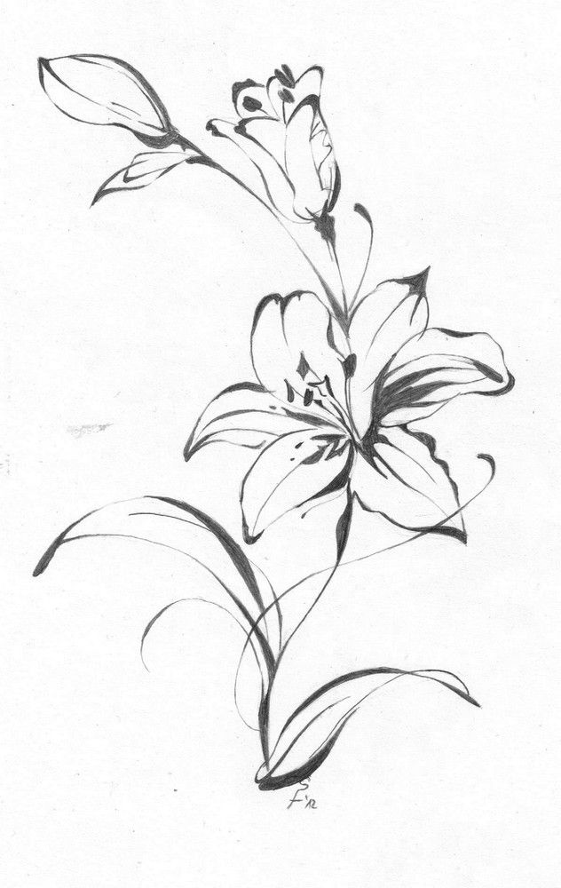 Lily Shoulder Tattoos Meaning Ideas Designs (111)