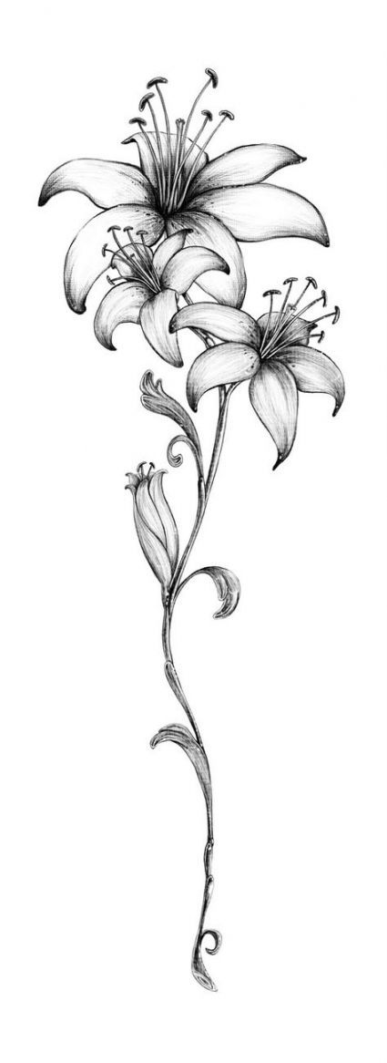 Lily Shoulder Tattoos Meaning Ideas Designs (115)