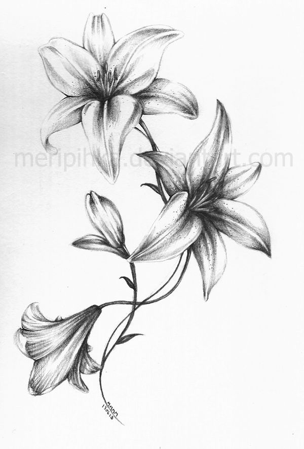 Lily Shoulder Tattoos Meaning Ideas Designs (122)