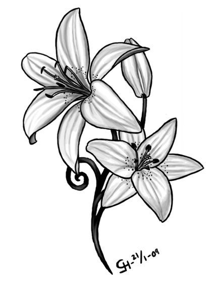 Lily Shoulder Tattoos Meaning Ideas Designs (126)