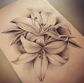 Lily Shoulder Tattoos Meaning Ideas Designs (151)