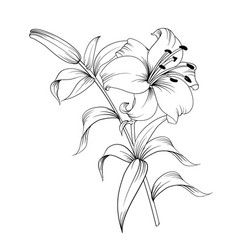 Lily Shoulder Tattoos Meaning Ideas Designs (17)