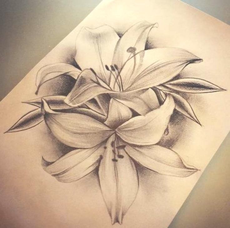 Lily Shoulder Tattoos Meaning Ideas Designs (211)