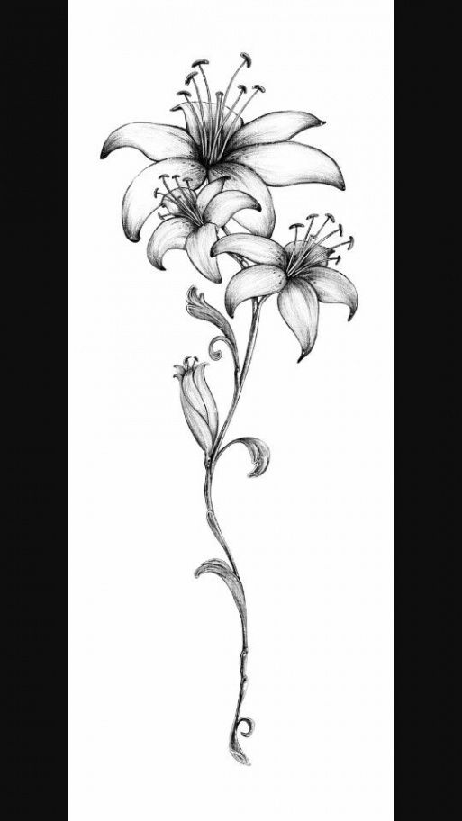 Lily Shoulder Tattoos Meaning Ideas Designs (29)