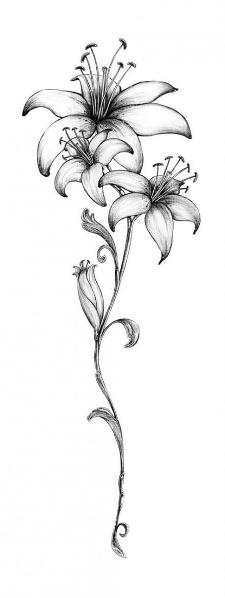 Lily Shoulder Tattoos Meaning Ideas Designs (58)