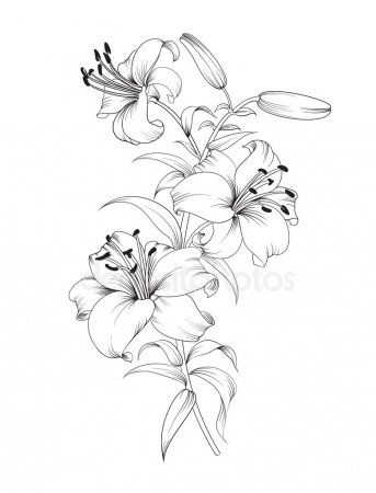 Lily Shoulder Tattoos Meaning Ideas Designs (62)