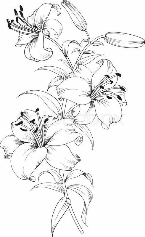 Lily Shoulder Tattoos Meaning Ideas Designs (73)