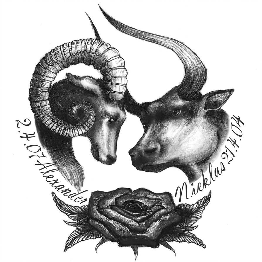 Taurus Zodiac Symbol Horoscope Tattoos 211 