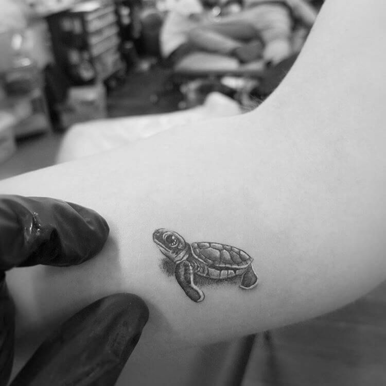 Turtle Tattoos 134