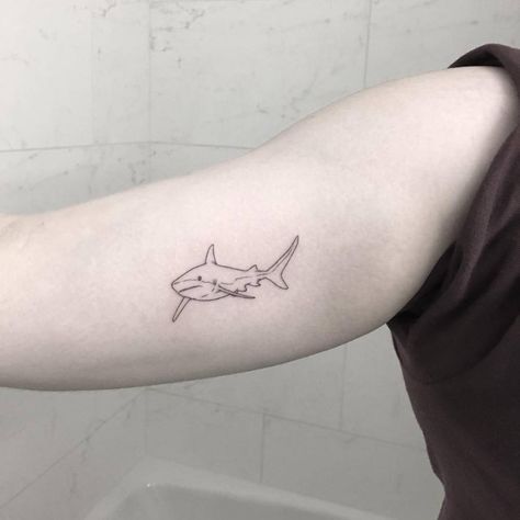 Shark Tattoos 101