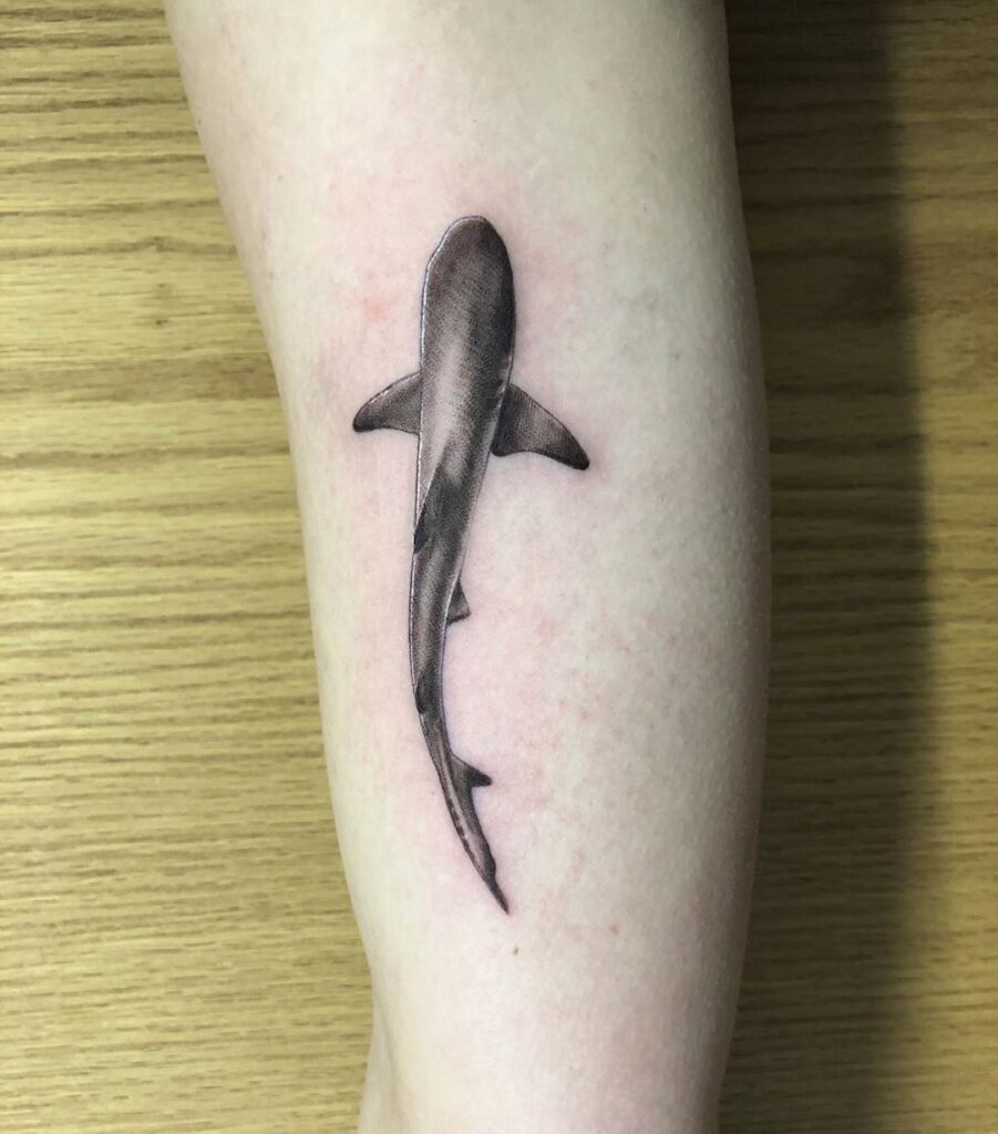 Shark Tattoos 117