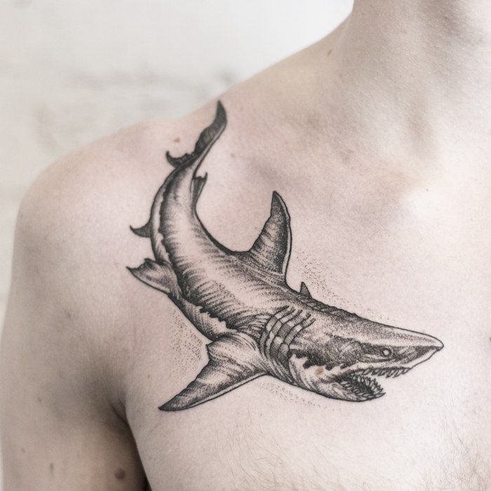 Shark Tattoos 119
