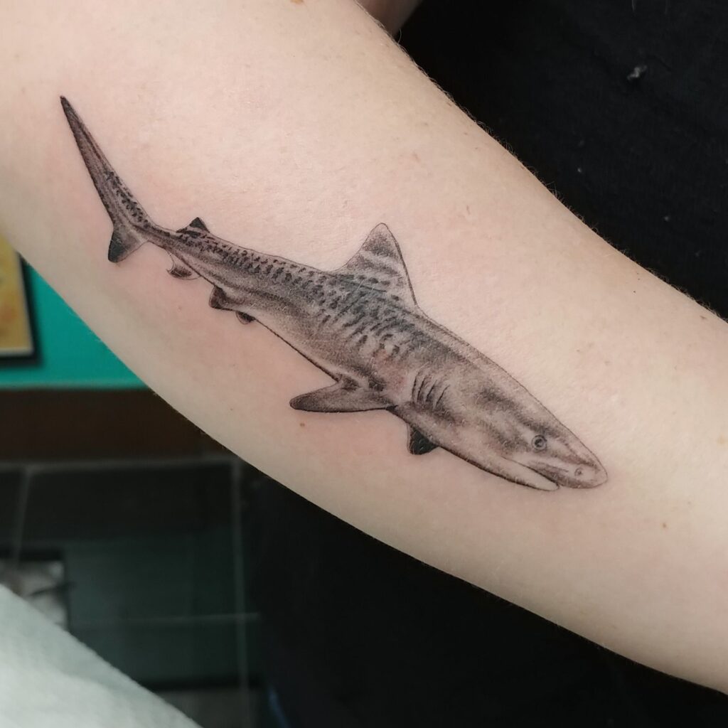 Shark Tattoos 129