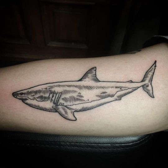 Shark Tattoos 143