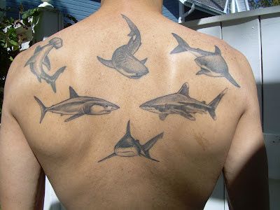 Shark Tattoos 146
