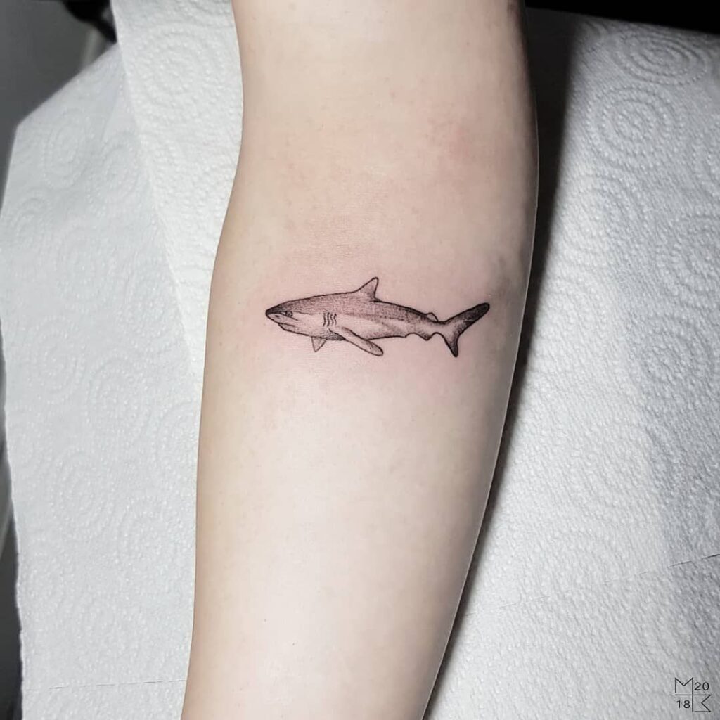 Shark Tattoos 154