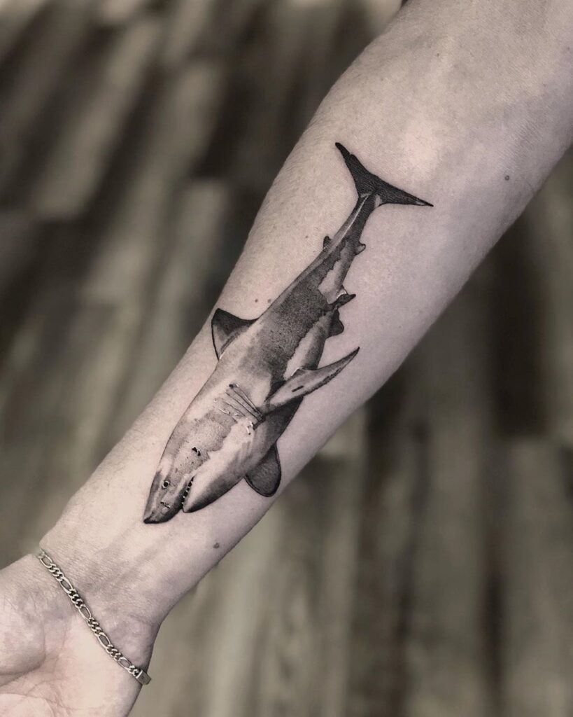 Shark Tattoos 22