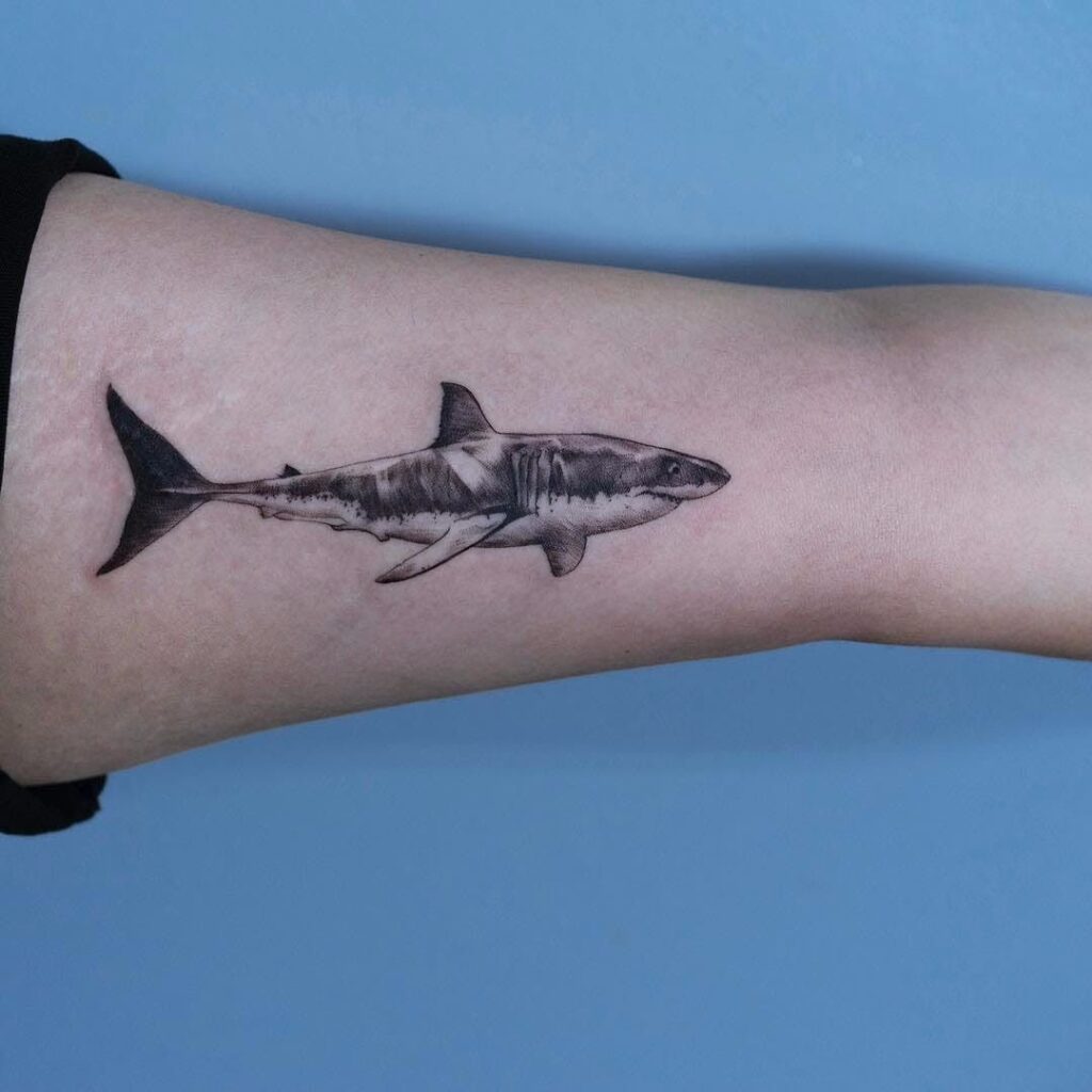 Shark Tattoos 45