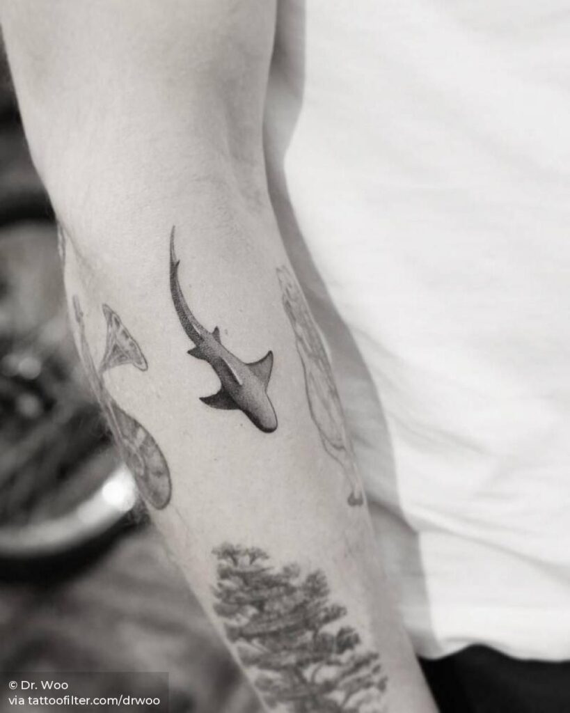 Shark Tattoos 6