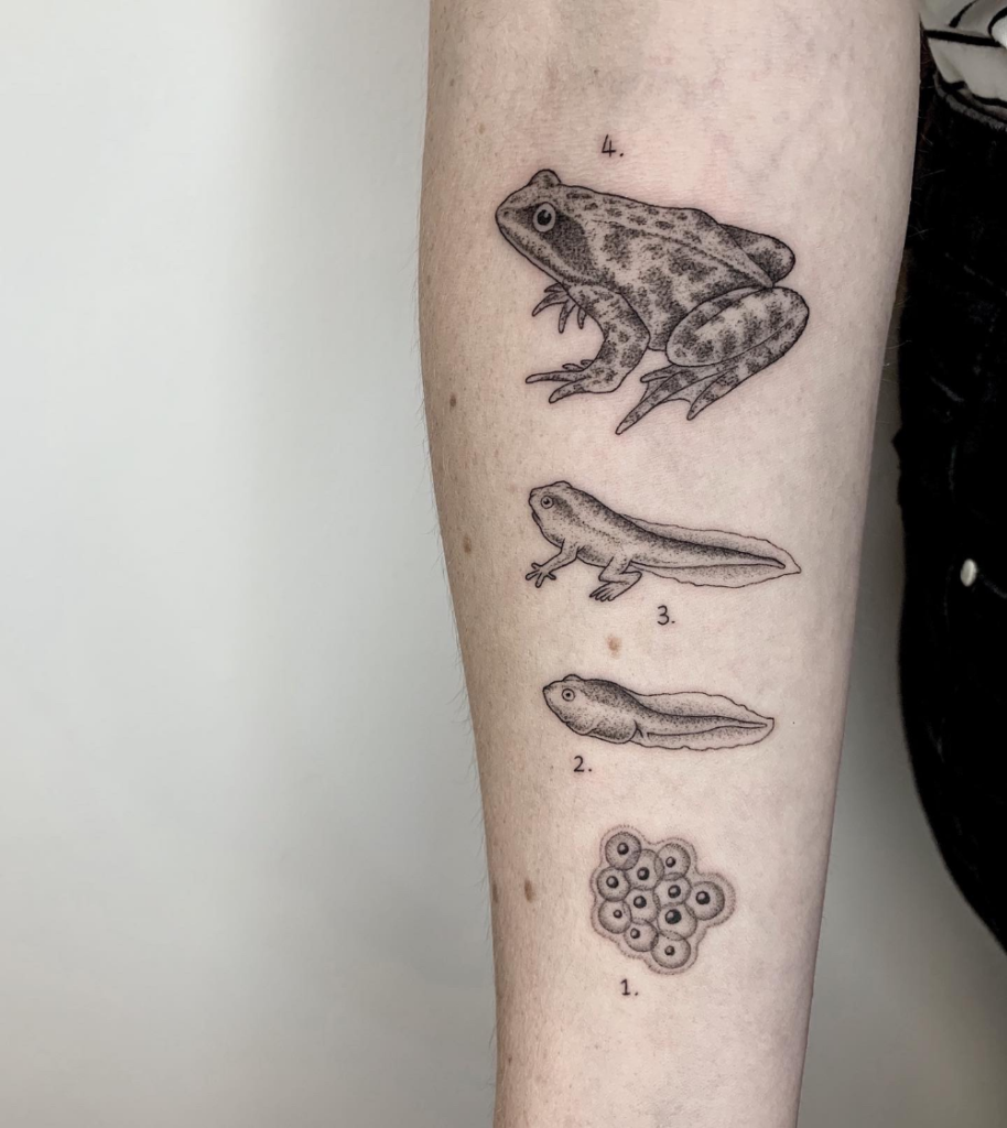 Frog Tattoos 4